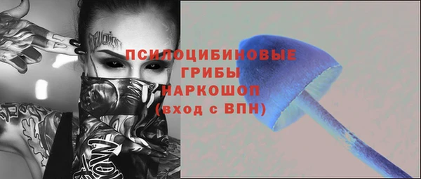 амф Алексин