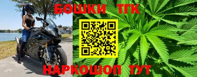 шишки Пенза