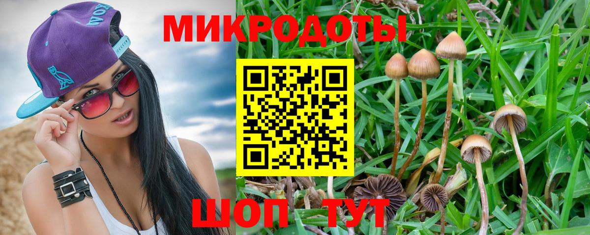 Татарск  Галлюциногенные грибы Magic Shrooms  Вход с VPN 