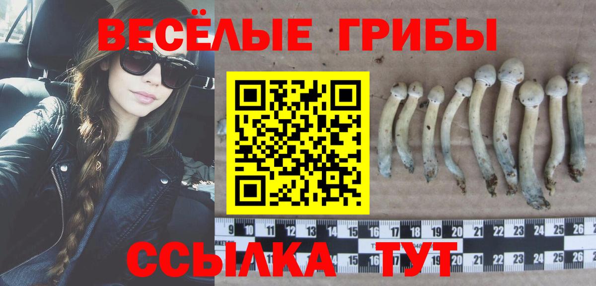 Галлюциногенные грибы Psilocybine cubensis Татарск