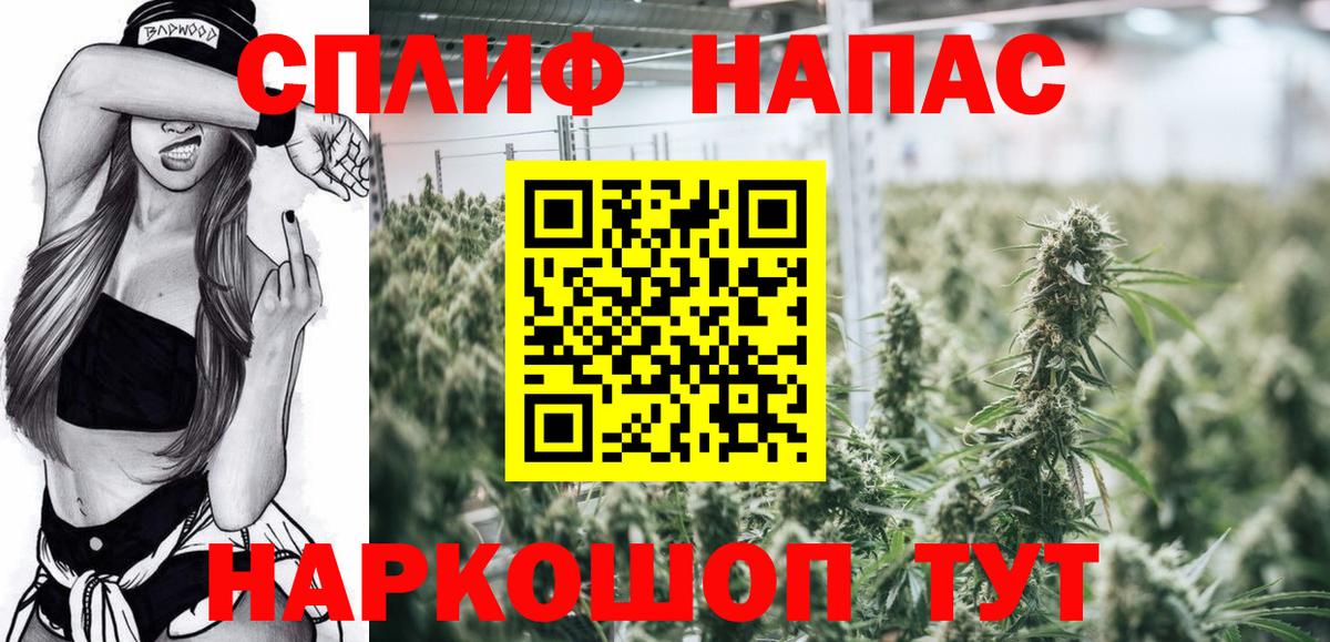 Канабис сатива Татарск